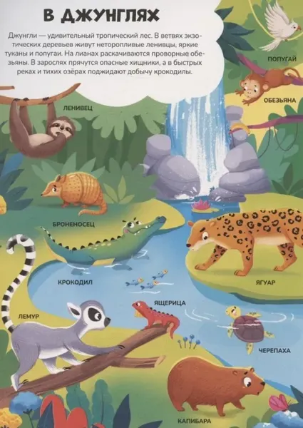 Изображение товара Развивающая книга Malamalama Знания в окошках. Животные, твердая обложка