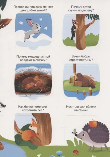 Изображение товара Развивающая книга Malamalama Знания в окошках. Животные, твердая обложка