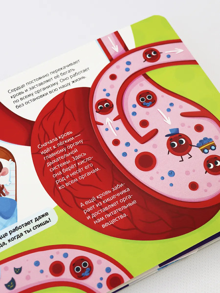 Изображение товара Развивающая книга Malamalama Липучки. Мое тело, твердая обложка