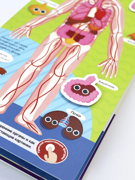 Изображение товара Развивающая книга Malamalama Липучки. Мое тело, твердая обложка
