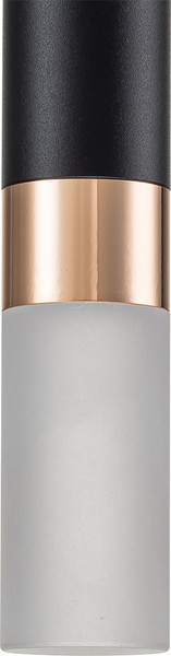 Изображение товара Потолочный светильник ESCADA 10217/1 LED (черный/золото)