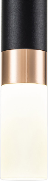 Изображение товара Потолочный светильник ESCADA 10217/1 LED (черный/золото)