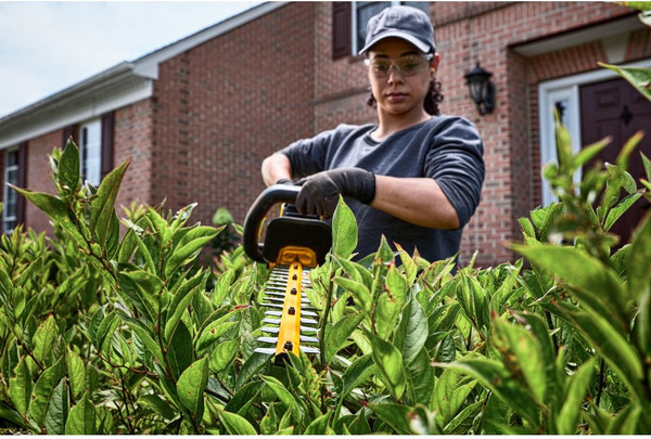 Изображение товара Кусторез аккумуляторный DeWalt DCMHT573X1