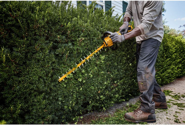 Изображение товара Кусторез аккумуляторный DeWalt DCMHT573X1