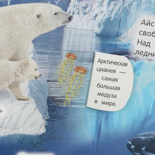 Изображение товара Развивающая книга Умка 50 окошек для малышей. Животные (9785506099369)