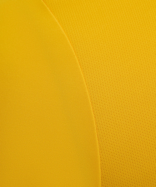 Изображение товара Футболка игровая футбольная Jogel Division PerFormDRY Union Jersey (YM, желтый)