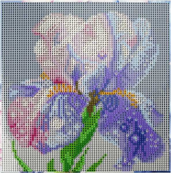 Изображение товара Набор алмазной вышивки Феникс+ Ирис / 70827