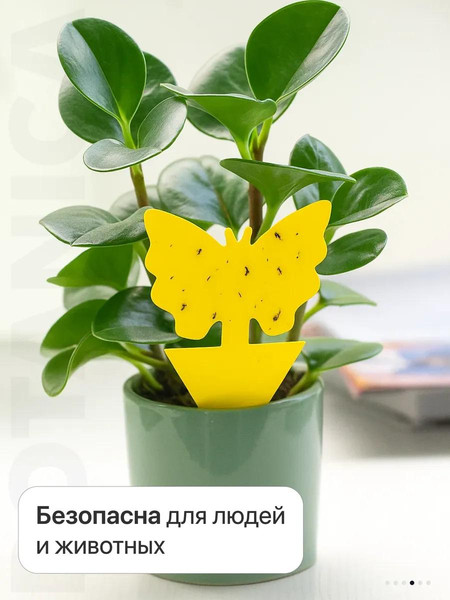 Изображение товара Ловушка для насекомых BOTANICA для комнатных растений (20шт)