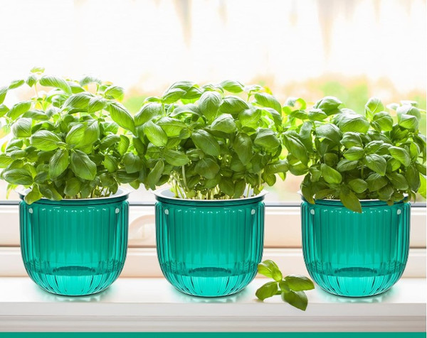 Изображение товара Кашпо BOTANICA Liana (11.5x11.5см, зеленый)