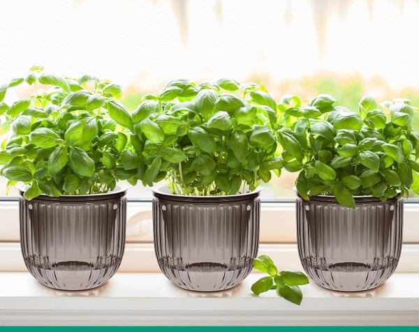 Изображение товара Кашпо BOTANICA Liana (11.5x11.5см, коричневый)