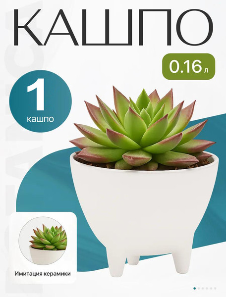 Изображение товара Кашпо BOTANICA Step (9.5x7см, белый)