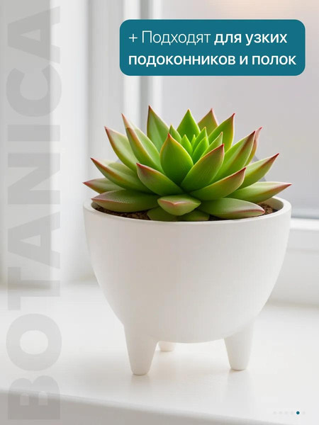 Изображение товара Кашпо BOTANICA Step (14.5x10.5см, белый)
