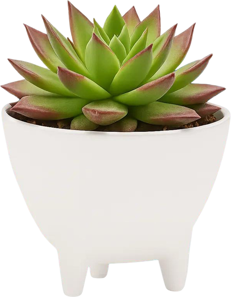 Изображение товара Кашпо BOTANICA Step (14.5x10.5см, белый)