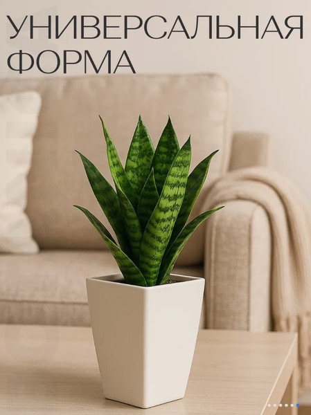 Изображение товара Кашпо BOTANICA Cactus (10x15см, белый)