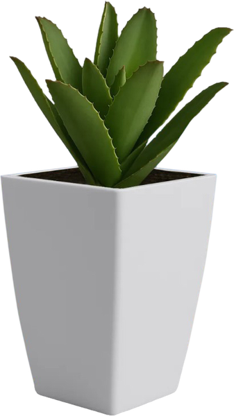 Изображение товара Кашпо BOTANICA Cactus (10x15см, белый)