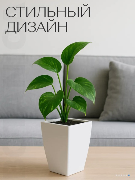 Изображение товара Кашпо BOTANICA Cactus (15x24см, белый)