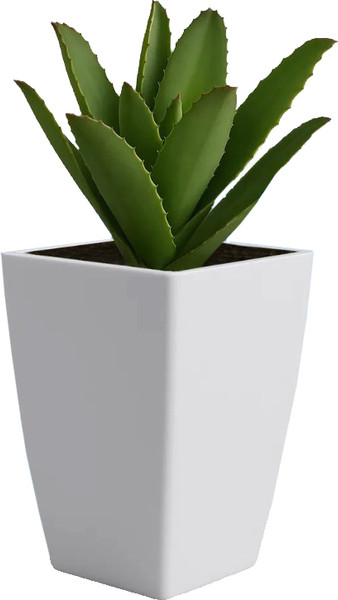 Изображение товара Кашпо BOTANICA Cactus (15x24см, белый)