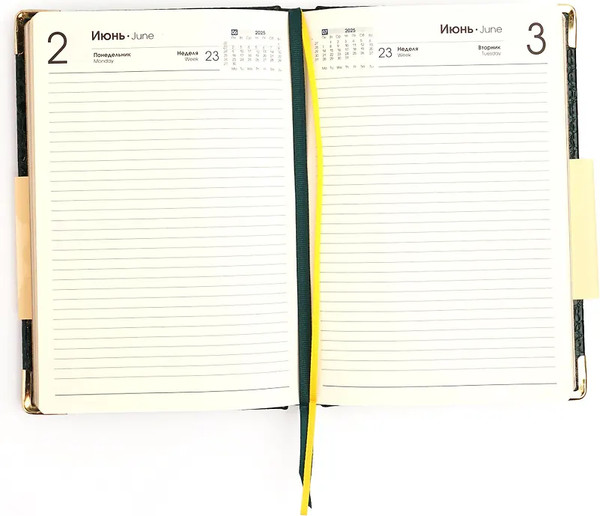 Изображение товара Ежедневник Listoff Lizard / ЕКП52617611 (176л, зеленый)