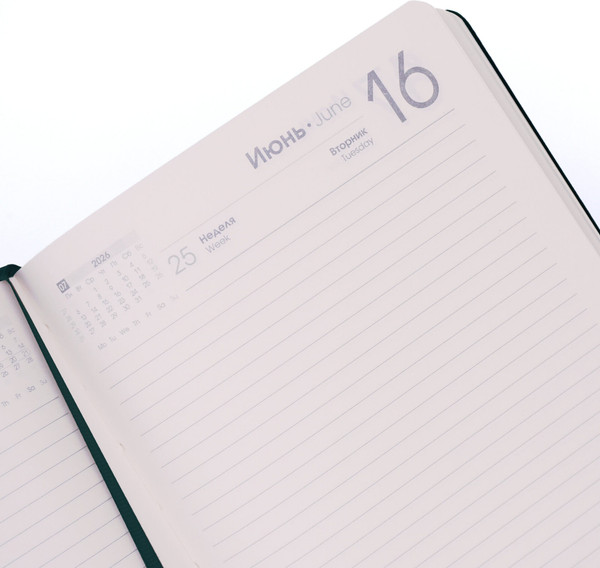 Изображение товара Ежедневник Listoff Maple / ЕКМ52617601 (176л, черный)