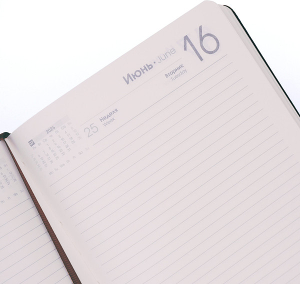 Изображение товара Ежедневник Listoff Maple / ЕКМ52617604 (176л, фиолетовый)