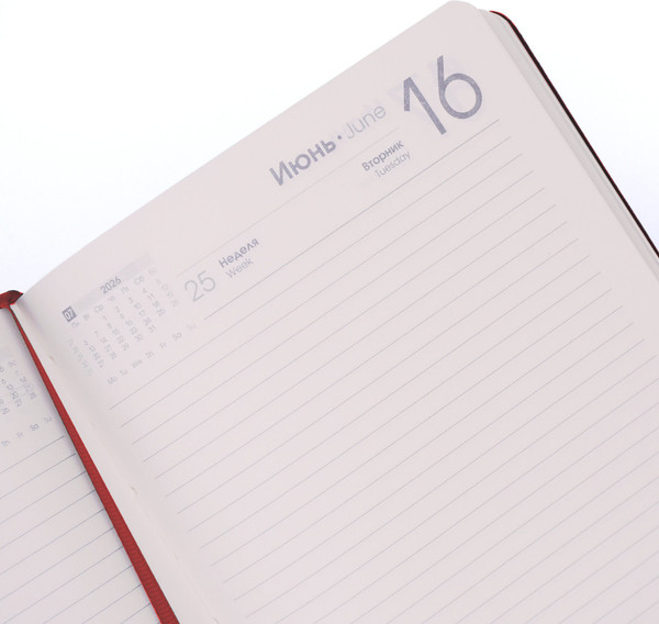 Изображение товара Ежедневник Listoff Maple / ЕКМ52617603 (176л, красный)