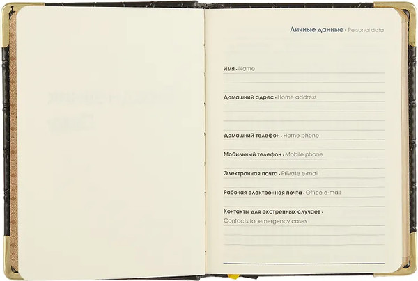 Изображение товара Ежедневник Listoff Impact / ЕКП62617604 (176л, черный)