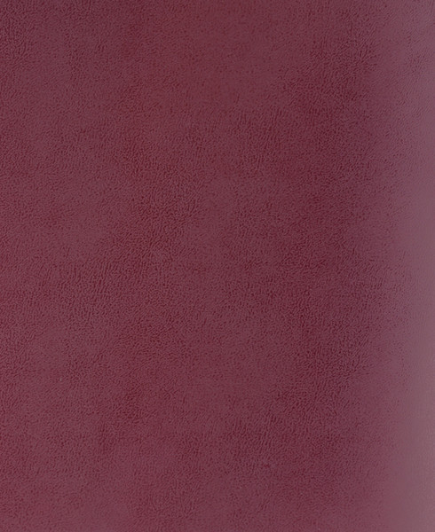 Изображение товара Тетрадь Listoff ТБ5968179 (96л, бордовый)