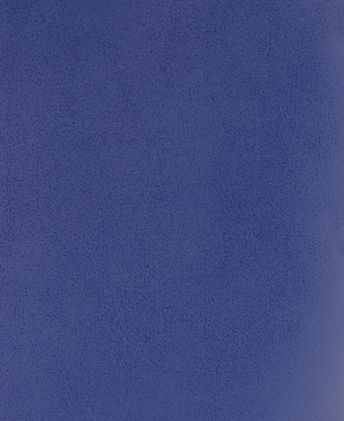 Изображение товара Тетрадь Listoff ТБ5968178 (96л, синий)