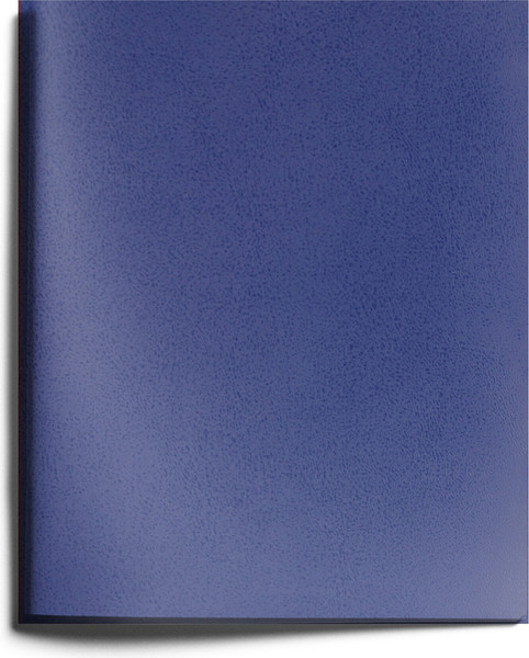 Изображение товара Тетрадь Listoff ТБ5968178 (96л, синий)