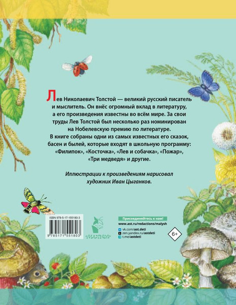 Изображение товара Книга АСТ Сказки. Басни. Были, твердая обложка (Толстой Лев)