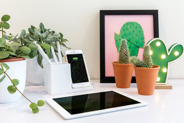 Изображение товара Зарядное устройство беспроводное Xindao Ontario / P308.853 (белый)