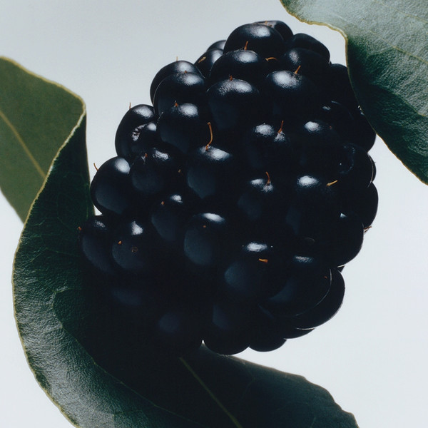 Изображение товара Одеколон Jo Malone Blackberry & Bay (100мл)