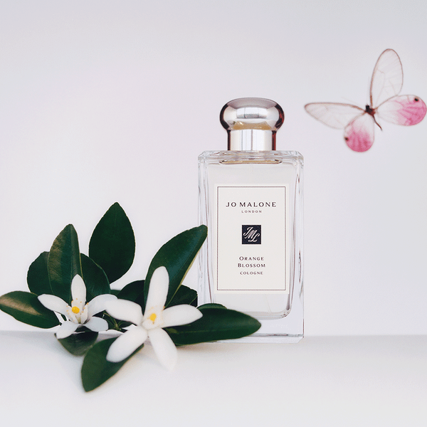 Изображение товара Одеколон Jo Malone Orange Blossom (100мл)
