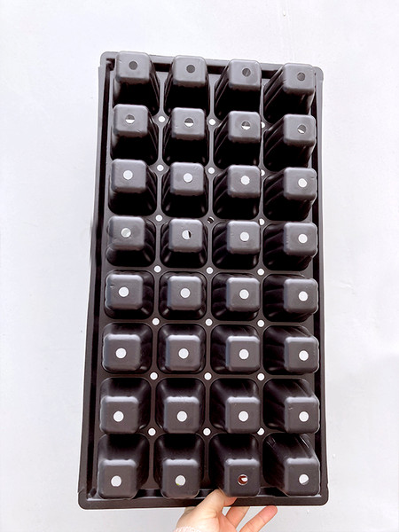 Изображение товара Набор кассет для рассады GreenTerra К-32 (10шт)