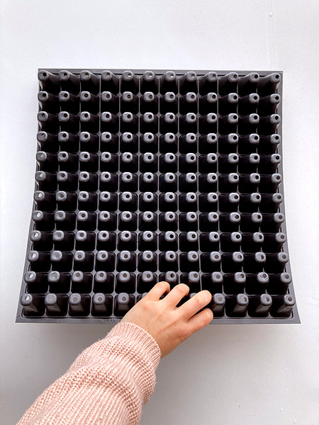 Изображение товара Набор кассет для рассады GreenTerra Ф-144 (10шт)