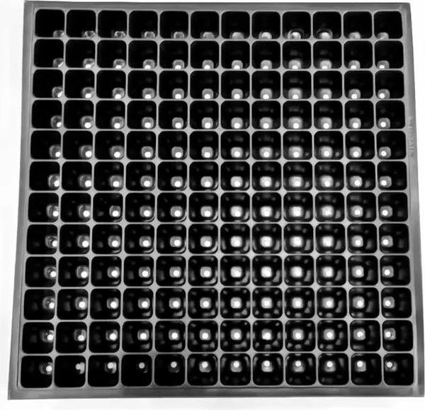 Изображение товара Набор кассет для рассады GreenTerra Ф-144 (10шт)