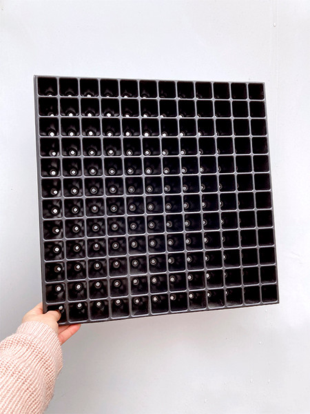 Изображение товара Набор кассет для рассады GreenTerra 0.8мм / 144-Ф (10шт)