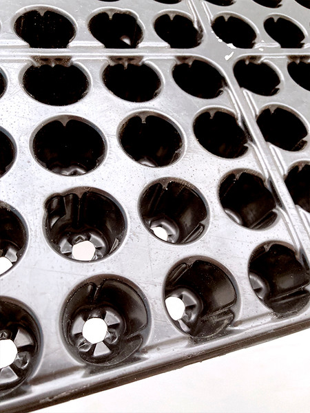 Изображение товара Набор кассет для рассады GreenTerra 0.8мм / 144-Ф (10шт, гидропоника)