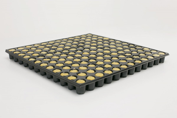 Изображение товара Набор кассет для рассады GreenTerra 0.8мм / 144-Ф (10шт, гидропоника)