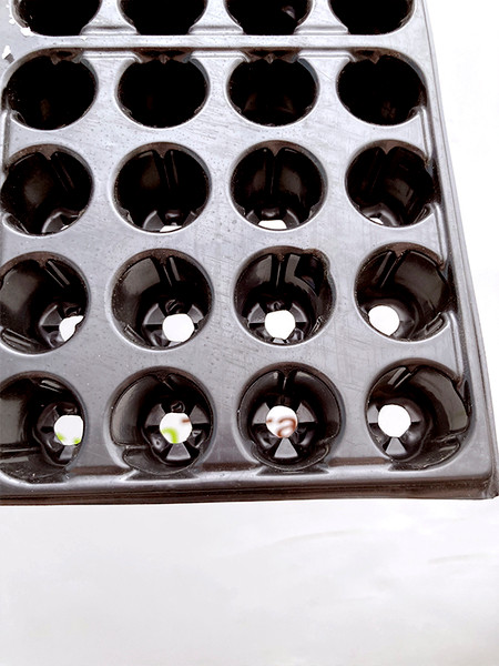 Изображение товара Набор кассет для рассады GreenTerra 0.8мм / 144-Ф (10шт, гидропоника)