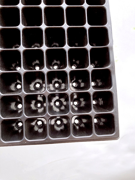 Изображение товара Набор кассет для рассады GreenTerra 1мм / 256 (10шт)