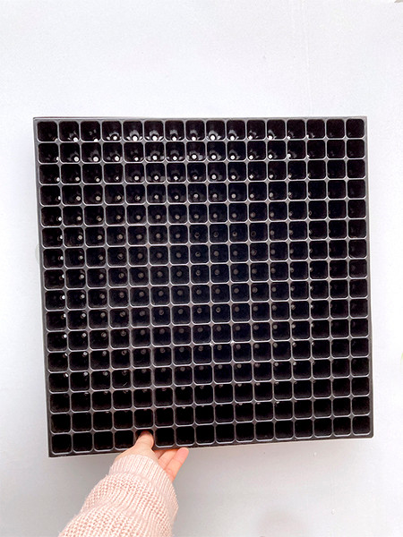 Изображение товара Набор кассет для рассады GreenTerra 1мм / 256 (10шт)