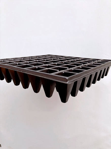 Изображение товара Набор кассет для рассады GreenTerra 0.8мм / 64 (10шт, свекла)