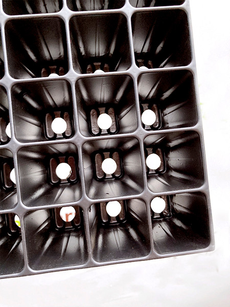 Изображение товара Набор кассет для рассады GreenTerra 1.2мм / 81 (10шт, плантек)