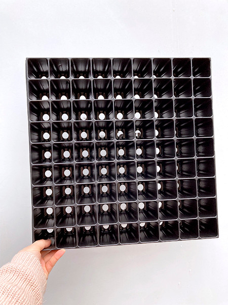 Изображение товара Набор кассет для рассады GreenTerra 1.2мм / 81 (10шт, плантек)