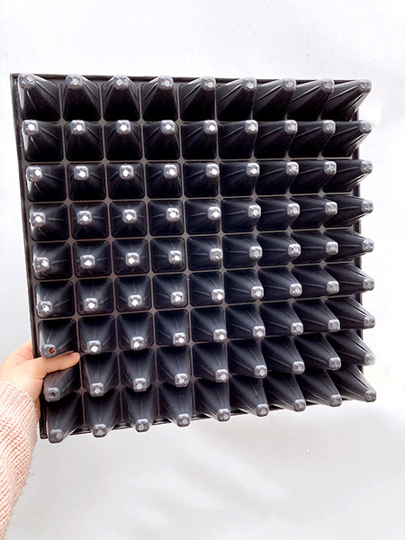 Изображение товара Набор кассет для рассады GreenTerra 0.8мм / 81-Ф (10шт)