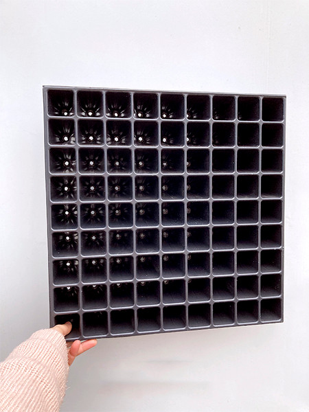 Изображение товара Набор кассет для рассады GreenTerra 0.8мм / 81-Ф (10шт)