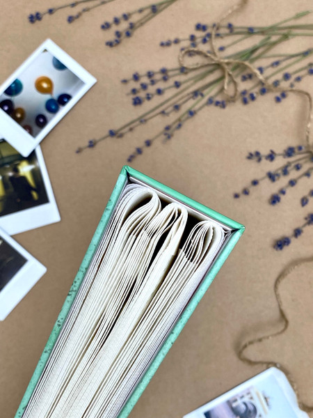 Изображение товара Фотоальбом Полином Лисья жизнь / FA 200.012