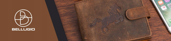 Изображение товара Портмоне Bellugio AM-28-033-063