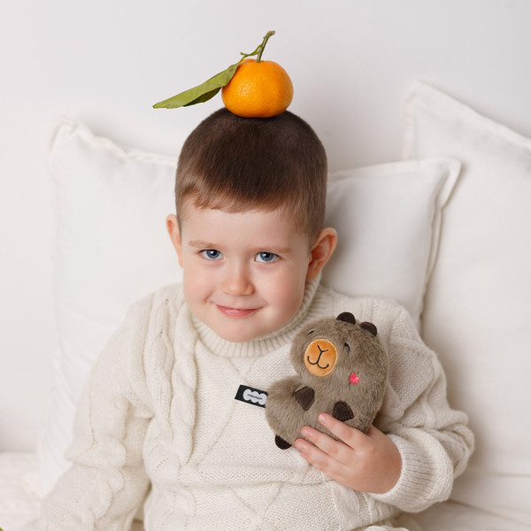 Изображение товара Мягкая игрушка Мякиши Капибара Барбара / 947